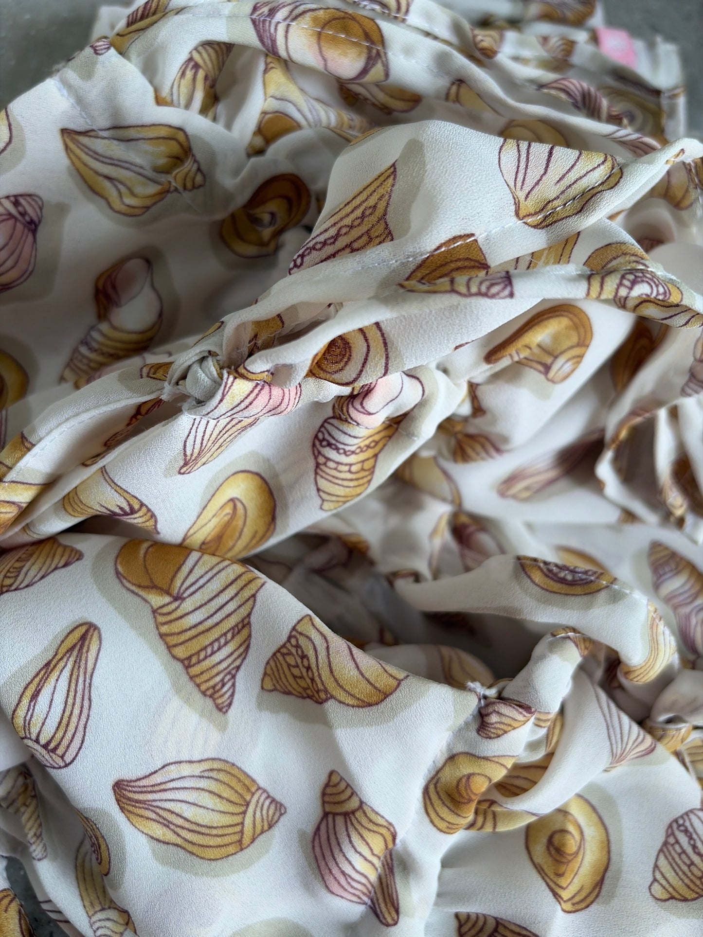 seaside shells